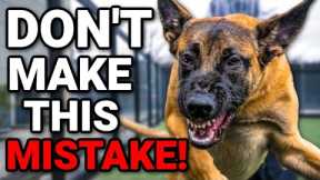 Dog Training - TEACH ANY FEARFUL DOG TO BE CONFIDENT!