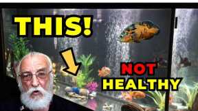 What is a Healthy Aquarium?