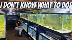 I Keep Choosing The Wrong Fish For My Aquarium. What should I do?