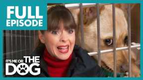 Victoria's Epic Battle to Save 60 Dogs in Collapsing Shelter! | Full Episode | It's Me or The Dog