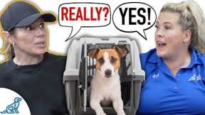 A REAL Conversation About How Crate Training Changes EVERYTHING!