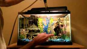 Performing A Freshwater Tank Water Change