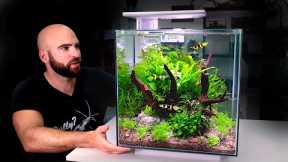 ALL IN ONE CUBE aquarium kit: jungle style planted tank w/ ROCKET Killifish