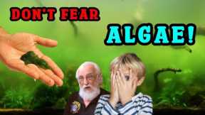 ALGAE- Good, Bad, Ugly, or Exotic - Algae Transforms Your Aquarium
