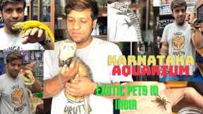 Exotic Pets in Bangalore From @KarnatakaAquarium