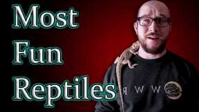 Top 5 Most FUN Interactive Reptiles