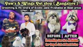 Pet Grooming and Exotic Pets | Paws & Wings Bangalore | Grooming Service in Bangalore Part 01