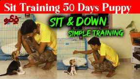 Sit Training To 50Days Old Puppy in Tamil
