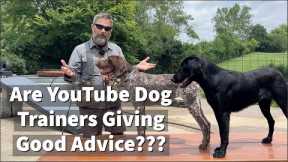 Are YouTube Dog Trainers Giving Good Advice? Why isn't it working for you?