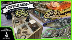 TOURING AN AWESOME REPTILE SHOP IN FRANCE! (Reptilis Shop)
