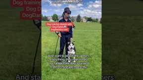 Free Dog Training To Dogs In Shelters Worldwide.