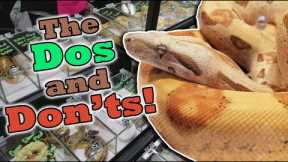 How to Shop at a Reptile Expo!