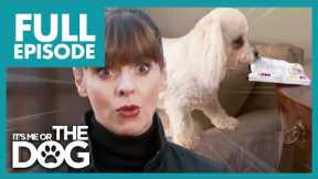 Out-of-Control Bichon Frise on the Verge of Eviction! | Full Episode | It's Me or The Dog
