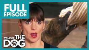 Victoria shocked by Blood Bath Bulldog Attacks! | Full Episode | It's Me or The Dog