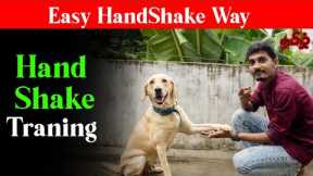 How to Train Handshake  to your Puppy or Dog (Easy Training)