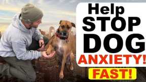 How to stop Dog Anxiety Fast -Dog anxiety training|Fearful dog training tips!