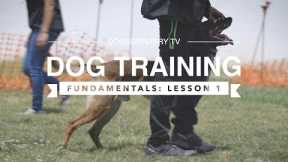 DOG TRAINING FUNDAMENTALS: LESSON 1