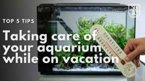 5 Tips for Taking Care of Your Aquarium During Summer