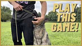 MUST PLAY GAME W/ YOUR DOG! EASY OBEDIENCE FOR A BALL!