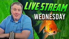 Wednesday Night Fish Tanks - Live Podcast Episode 287
