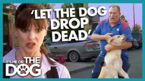 Victoria Horrified by Dog-Hating Owner | It's Me or The Dog