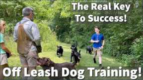How To Keep Your Dog's Attention When Off Leash Training!