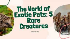 The World of Exotic Pets: 5 Rare Animals