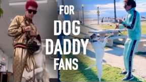 For Fans of Dog Daddy Only: This is What We are Doing to “Dog Daddy “ and Why