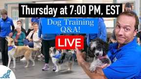 LIVE Dog Training Q&A - From Our First Class!
