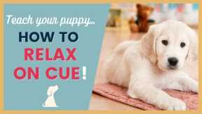 Puppy Training Tips to Teach The Relax Cue