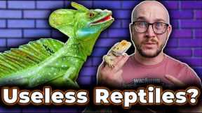DO NOT GET These 5 Popular Reptiles! Get THESE Reptiles Instead!