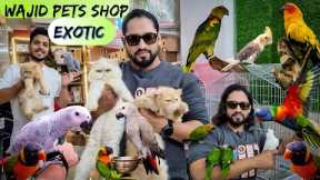 Exotic Pet Shop in Mumbai | Wajid Exotic Pets Shop | Birds | Cats & More| Delivery Anywhere in 🇮🇳