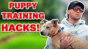 5 LIFE CHANGING PUPPY TRAINING TIPS YOU MUST KNOW!
