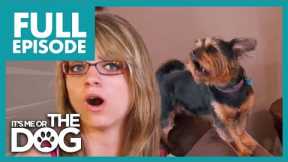 Daughter Forced to Help out with Dogs She HATES! | Full Episode | It's Me or The Dog