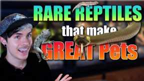 RARE Reptiles that Make Great Pets for Beginners!