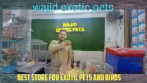 Wajid Exotic Pet's Jogeshwari west best and cheapest exotic pets in mumbai #viralvideo #exoticpets
