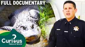 Unbelievable Public Tragedies With Wild Animals & Exotic Pets | Full Documentary | Predator Pets
