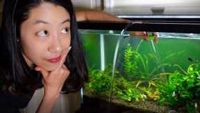 How Often Should I Clean My Fish Tank?