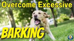 Barking Dogs! How To Help Your Dog Be Quiet And Stop Annoying Barking #239 #podcast