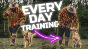 3 Dog Training Tips You Should Do Every Day With Your Dog