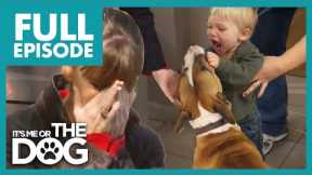 Victoria Shocked by Family Abusing their Dog! | Full Episode | It's Me or The Dog