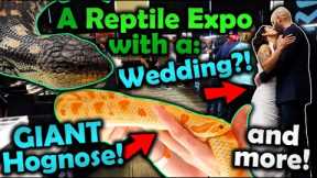 Attending the Most Epic Tinley Reptile Show Ever!