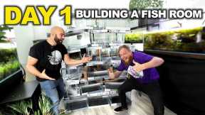 Building A NEW FISH STUDIO! (day 1)