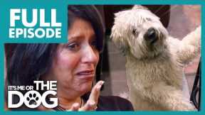 Owner Finds Out Dog is SERIOUSLY ILL💔| Full Episode | It's Me or The Dog
