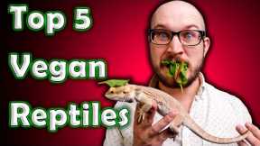 Top 5 Vegan Reptiles | Reptiles That Don't Eat Bugs or Rodents!