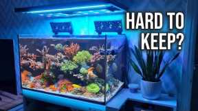 Keeping A Saltwater Aquarium Is EASY! Reef Tank Maintenance
