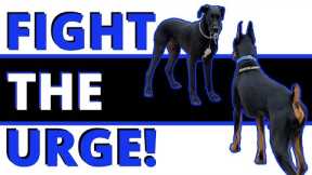 Impulse Control: Your Secret Weapon! Build the Discipline to Solve Reactivity, Fighting, Jumping