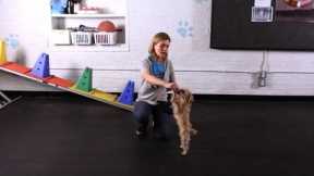 How to Teach Your Dog to Dance | Dog Tricks