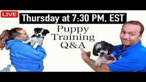 The 5 Most Important Questions In Puppy Training