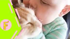 Baby and Cat Fun and Cute - Funny Baby Video